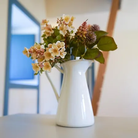 Appartement Cellorico De Sabores