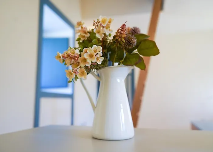 Apartament Cellorico De Sabores